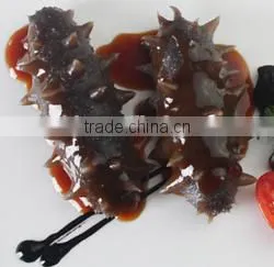 HL0088 illex squid tubes squid fish