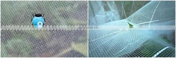 Anti insect netting screen on roll 4*50m, 40*50 mesh,100g