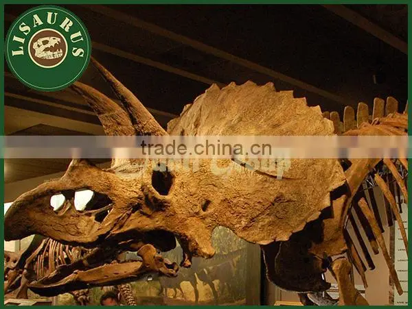 Lisaurus-0183 Dinosaur fossil as educational equipment