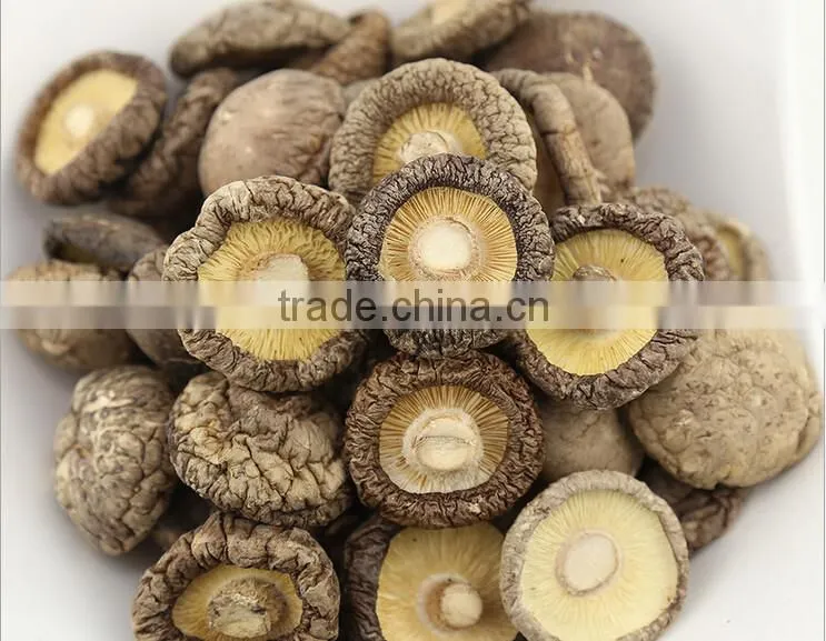 shiitake mushroom from yunnan