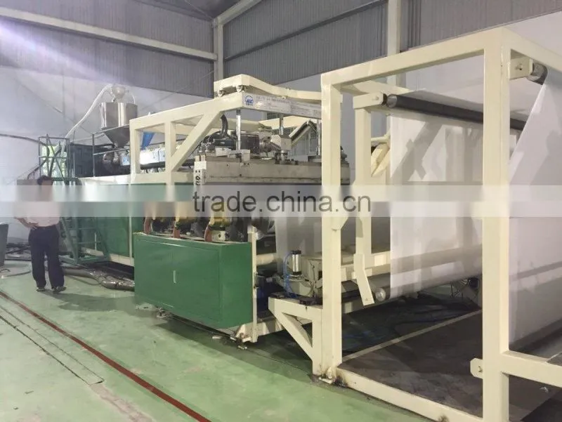 PET Sheeting Machine