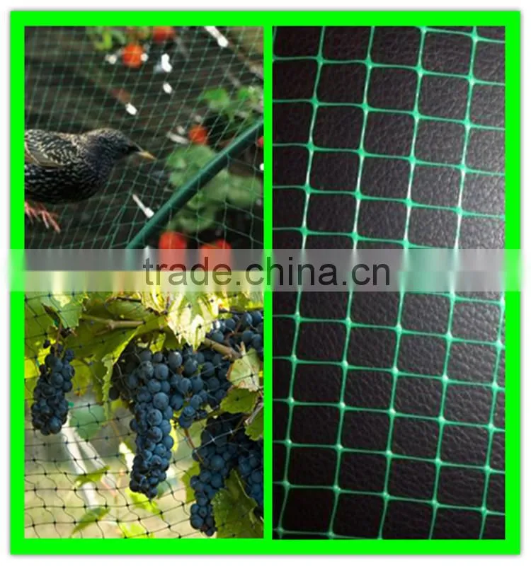 high quality PE cultivation protection plastic anti-bird mesh