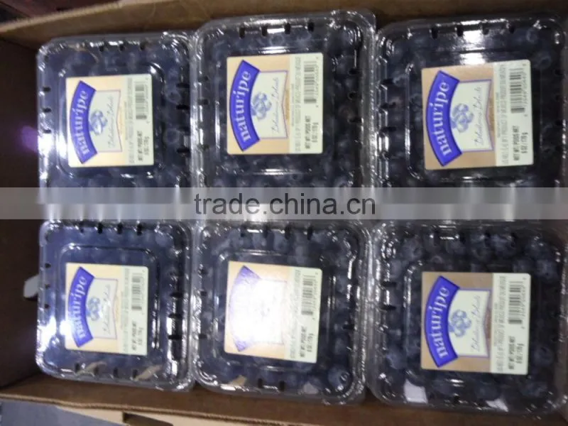 Blueberry Plastic fruit container