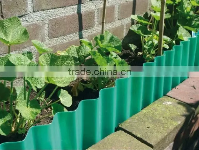 green garden border