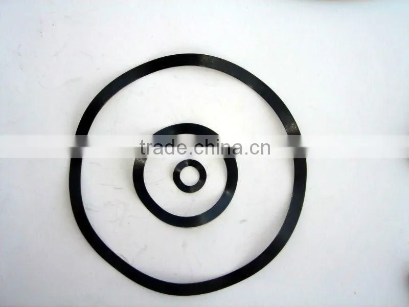 Wave Spring Washer