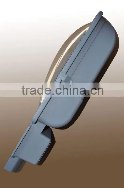 Panda Electrodeless Induction lamp street light