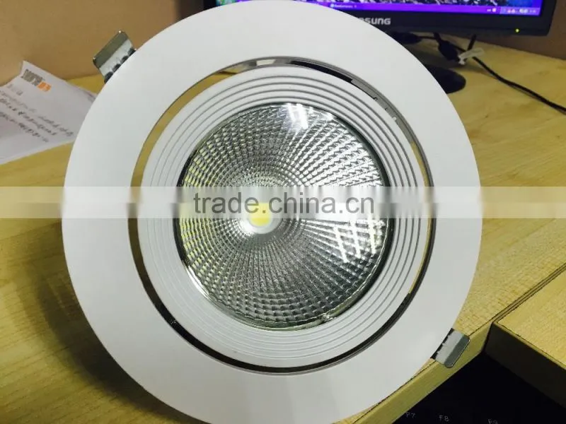 360 Degree Rotatable Aluminum Alloy COB LED Trunk Light 30W for Gallery 220VAC