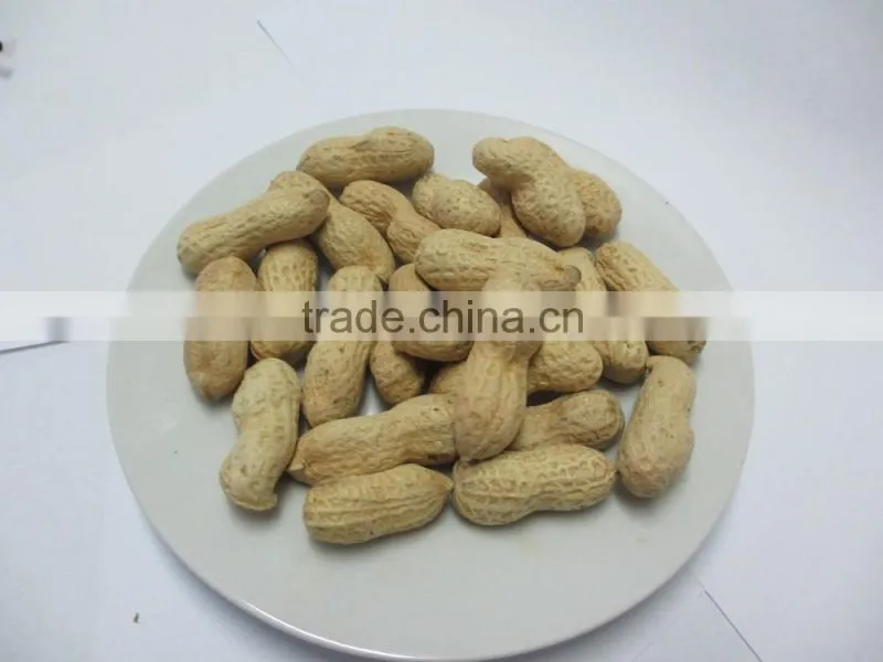 Roasted salted peanuts in shell