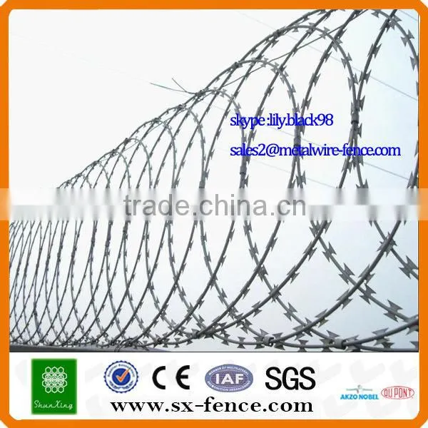 fence wall plastic bird spikes strip anti climb spikes