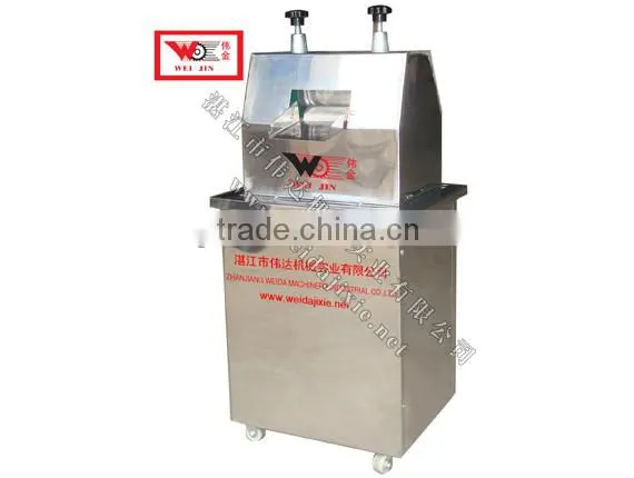 ginger juice extractor machine