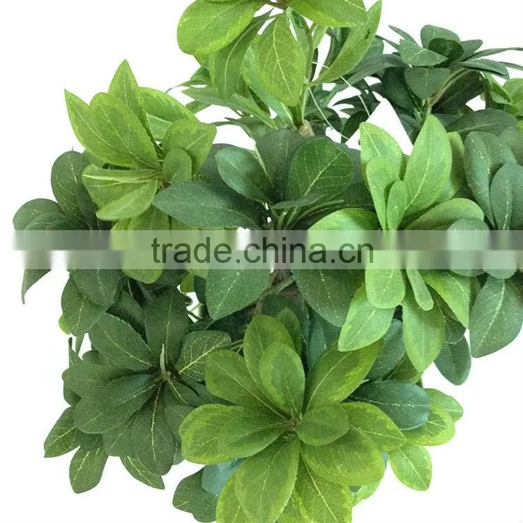 artificial bonsai pittosporum plants