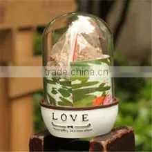 acrylic customized Plant breeding box