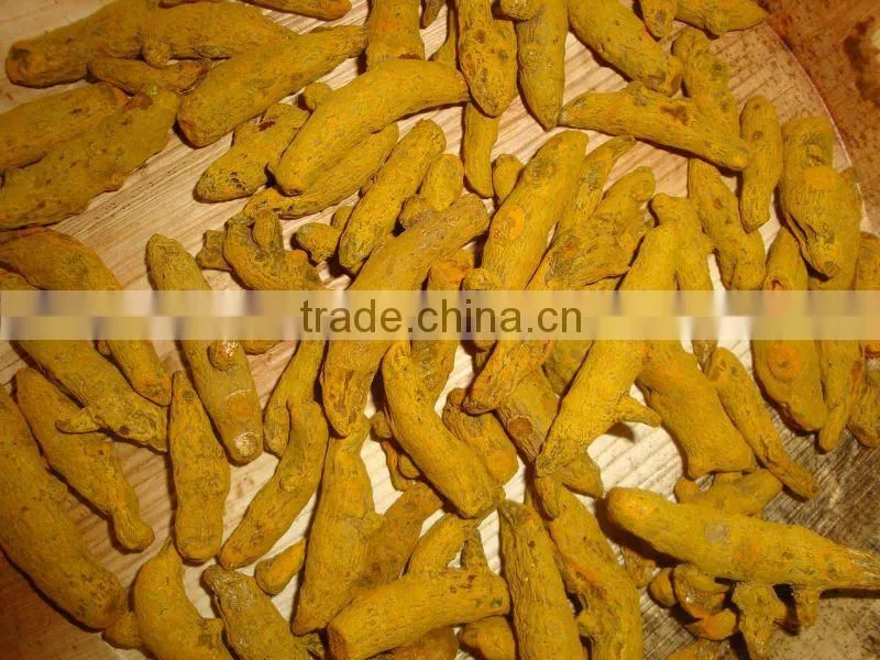 Fresh Turmeric / Dried Turmeric / Turmeric Finger