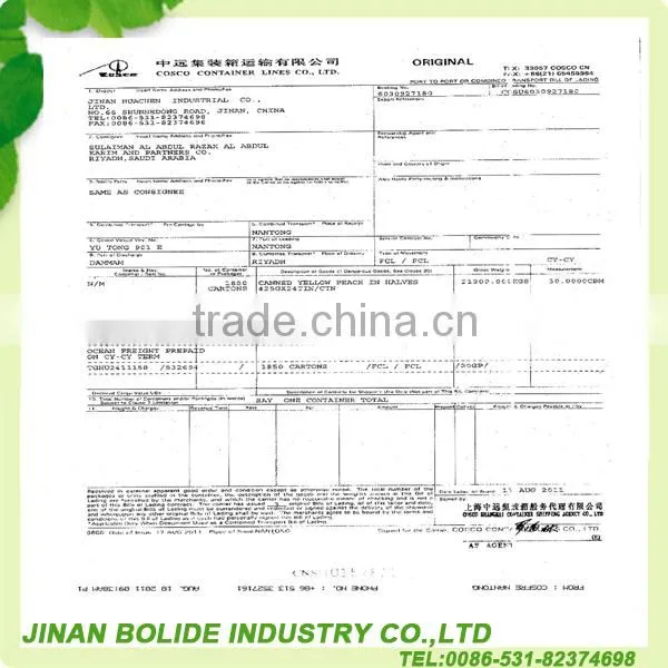 OEM 70g good quality canned tomato paste