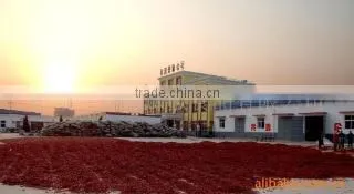 Zhecheng County Chunhai Chilli Foodstuff Co., Ltd. company overview - view 1