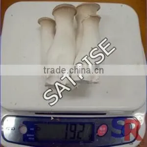 mushroom production Equipment Plastic Inoculation Stick Low Price