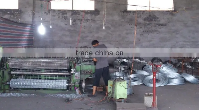 Factory Supply High Quality Welded Wire Mesh Concrete/Hot-dipped Galvanized Welded Wire Mesh Panel