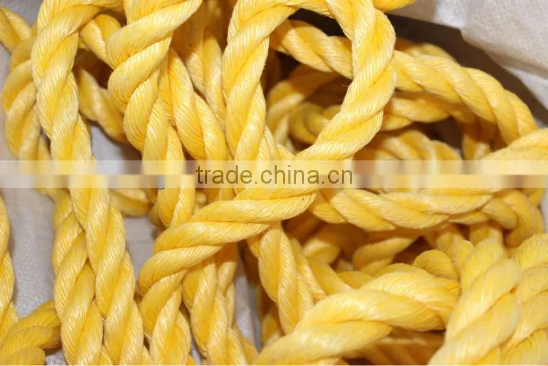 pp danline rope