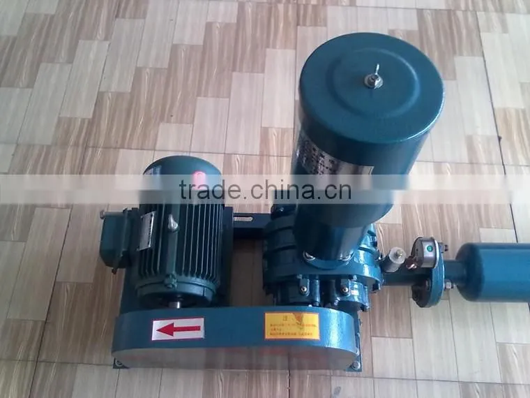 Ventilation Fan Small Roots Blower /Roots air blower