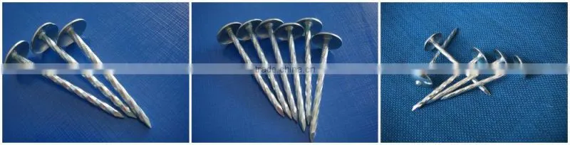 umbrella roofing nails 2.5
