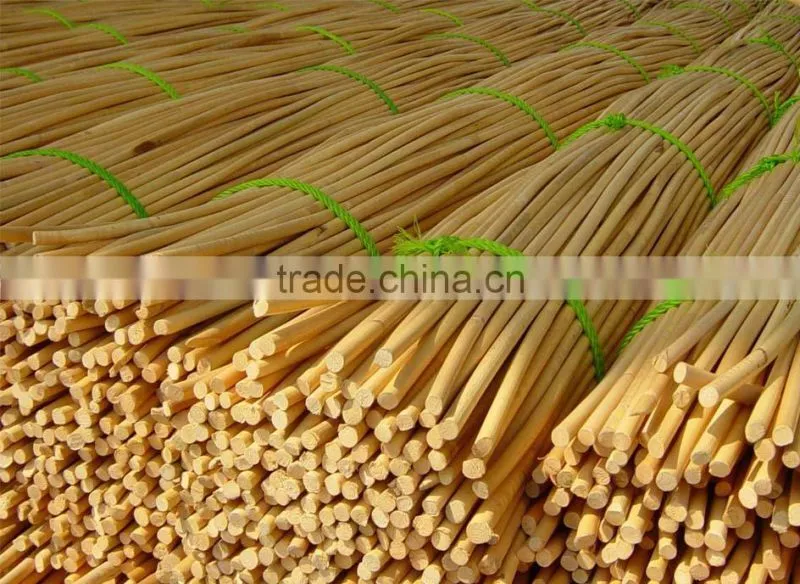 Curved Specification Natural Rattan Stick For Reed Diffuser length 15CM