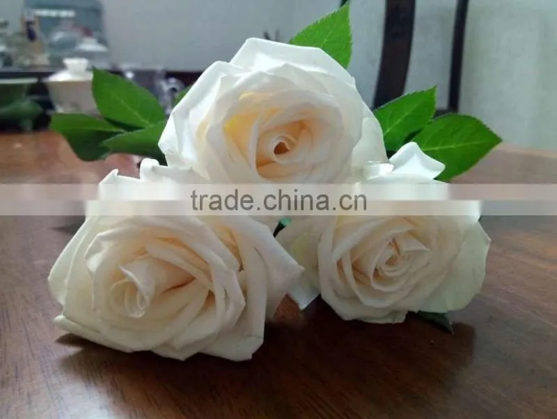 Supply Fresh Cut Flower Hot Sale 20 Stems/Bundle White Rose Wholesale From Yunnan,China