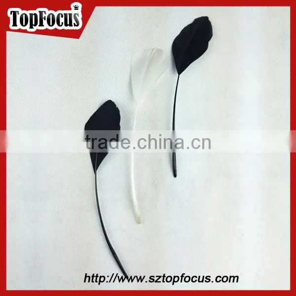 Fashion factory prices wholesale prime quality dyed goose wing feather