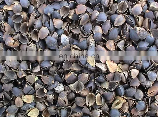 Hot selling easy operation automatic buckwheat hulling machine