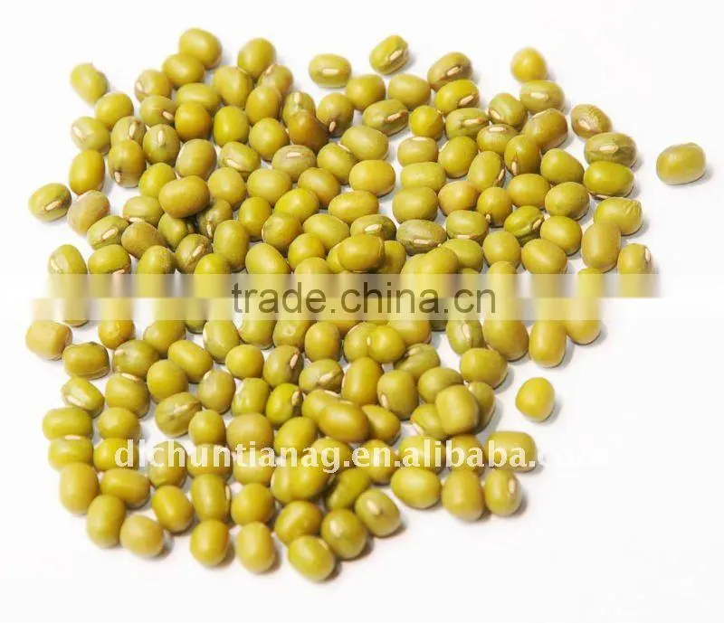organic green mung bean