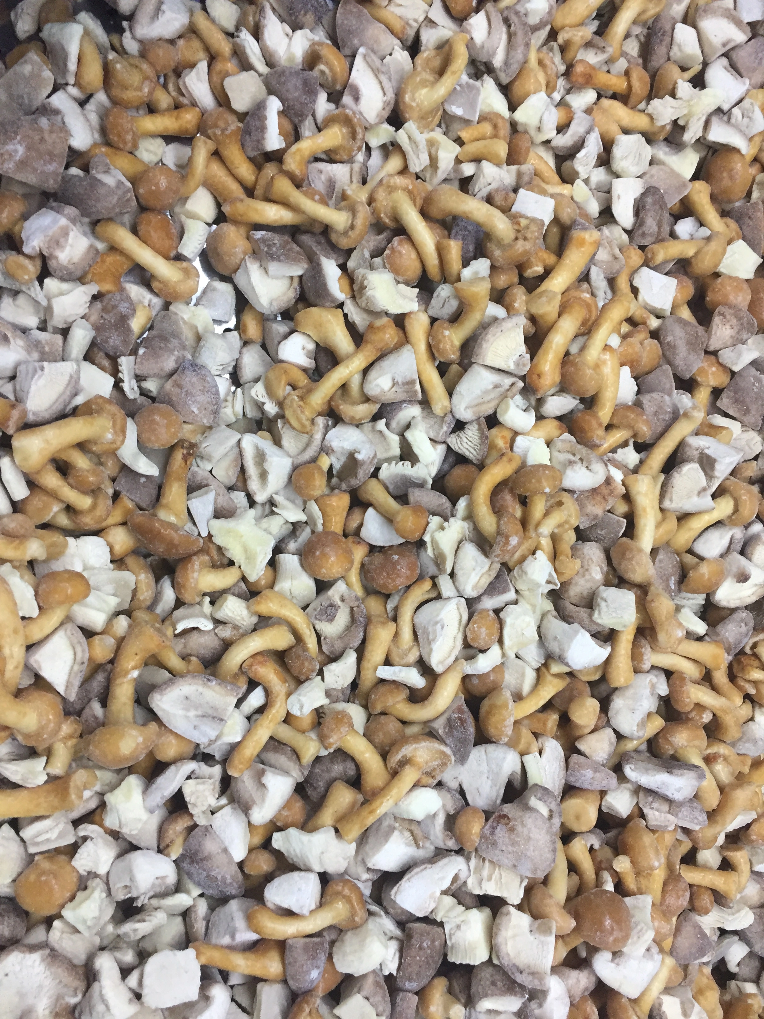 Hebei Hangen Import And Export Co.,ltd company overview - view 4