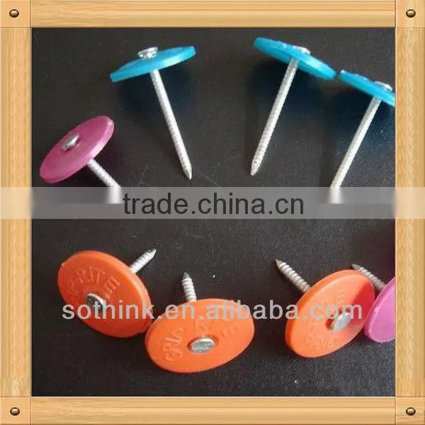 Ring Shank Plastic Nails (reasonable price)