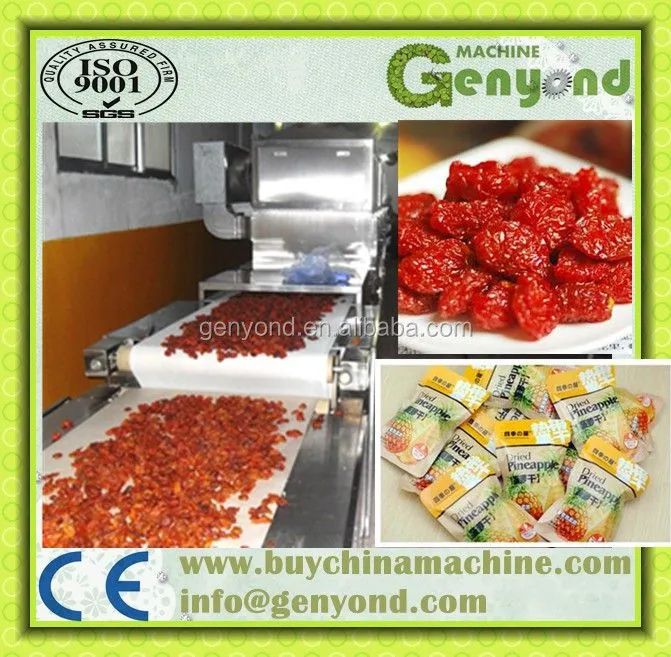 DW Series Mesh Belt Dryer Fruit and Vegetable Dryer