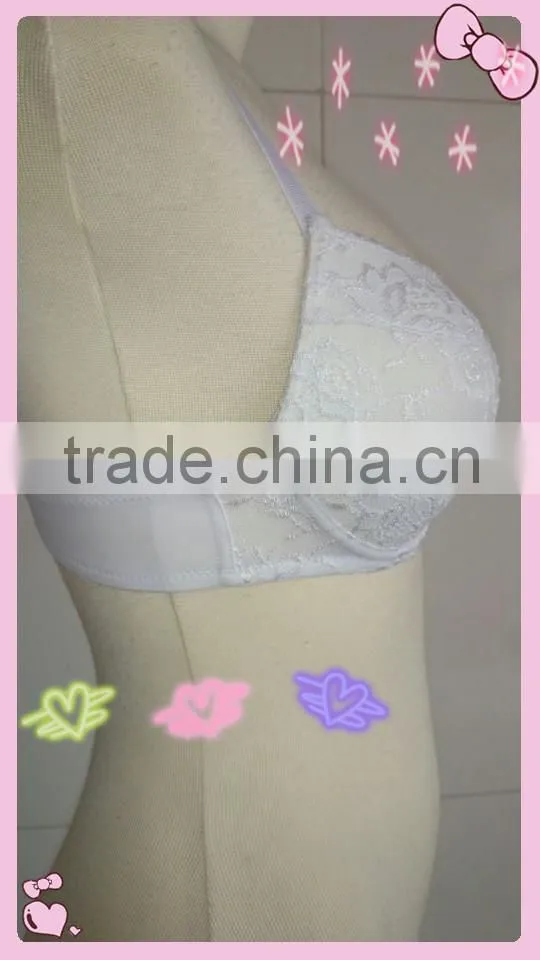 Classic Lace Bras