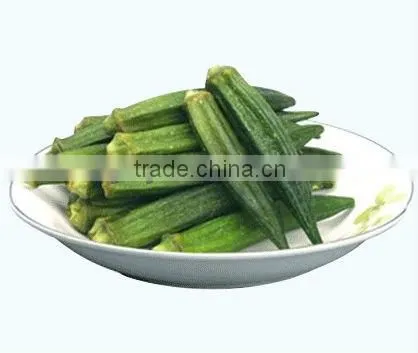 Low Temperature Vacuum Fried Fruit & Vegetable Chips