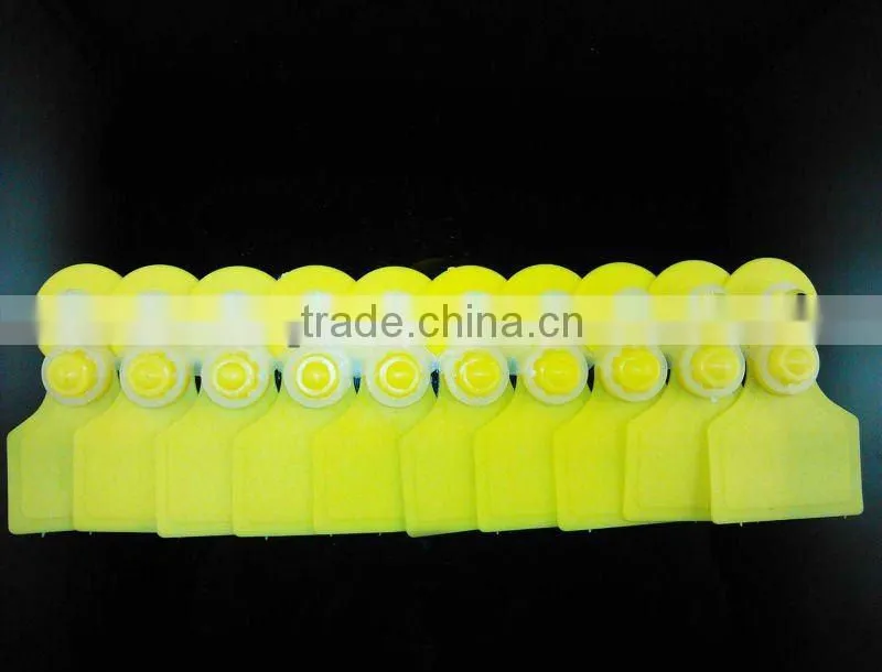 ear tag packing line