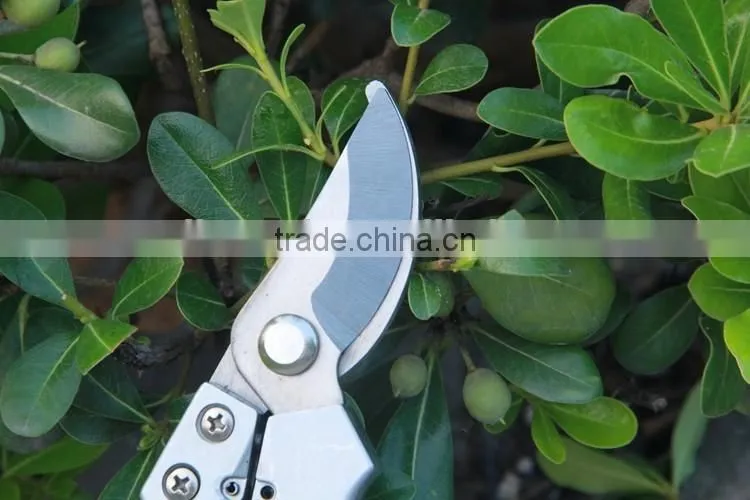 Stainless Steel Garden Pruning Scissor bonsai scissors