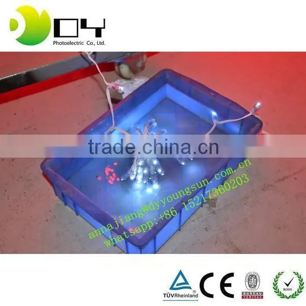 Customized Outdoor Usage Strawhat DC5v 9MM single color Pixel Led String L ight