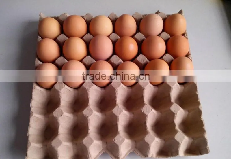 Small egg tray machine/egg box paper machine with low cost