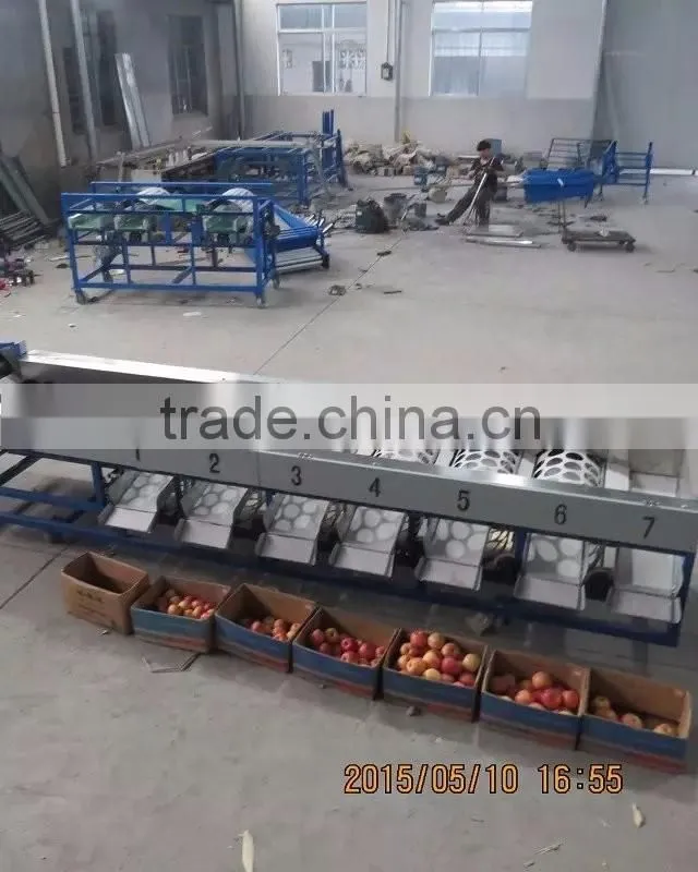 Sorter Type strawberry sorting machine