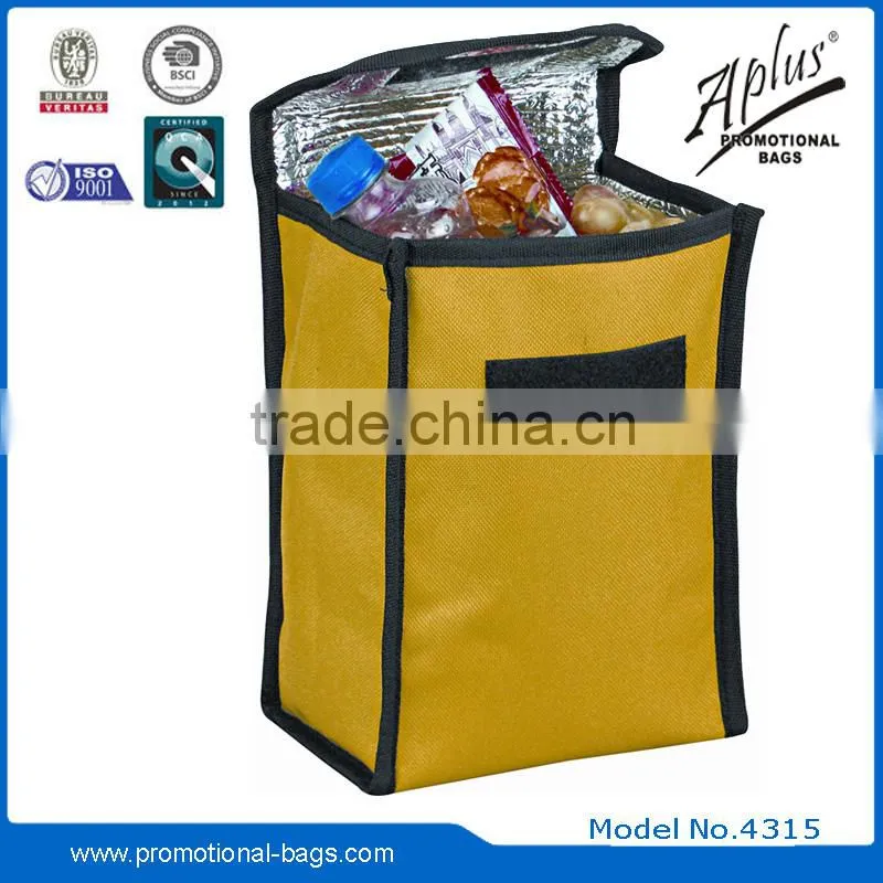 Insulated lunch bag for food