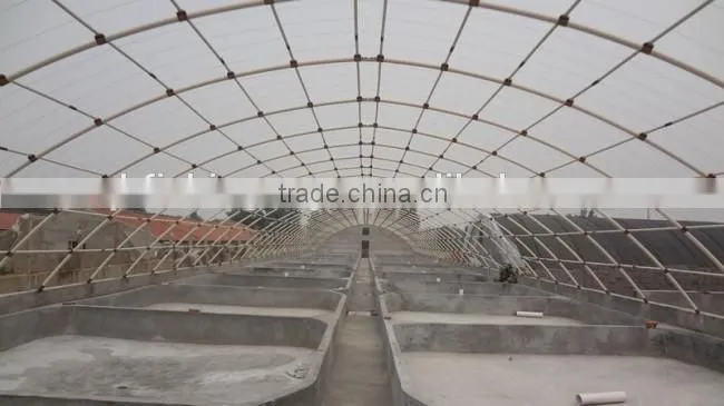 the most simple indoor fish farming