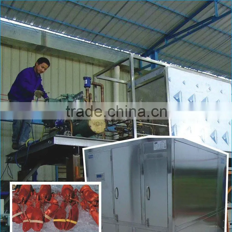 High Quality Fresh Keeping Plate Ice Machine