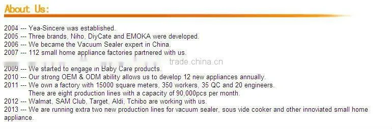 Chinese Slow Cooker