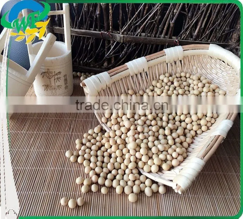 Yellow Soybean