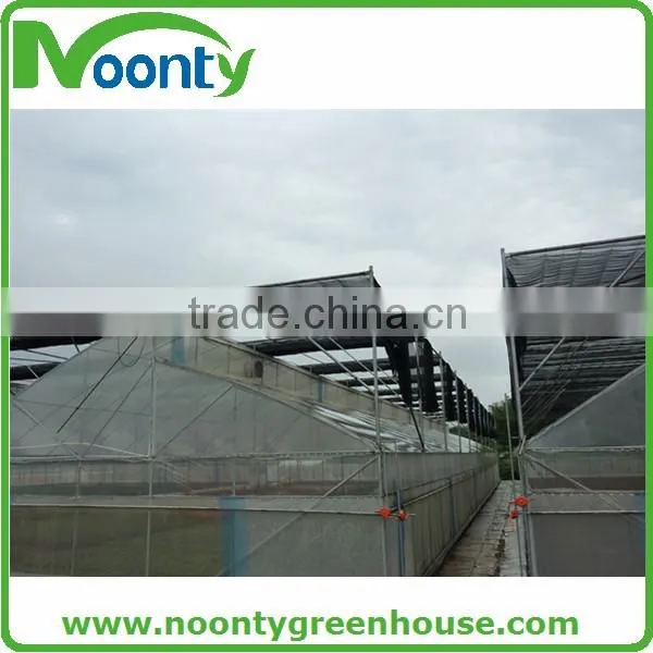 Tropical Greenhouse