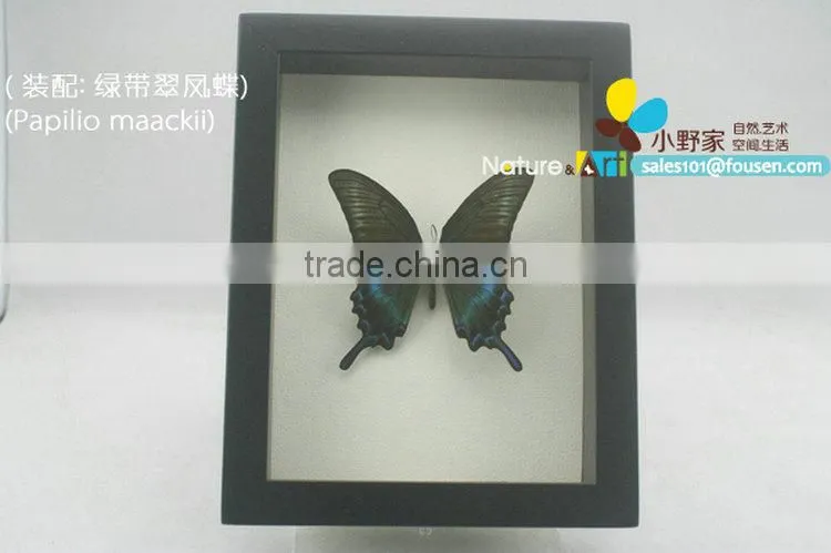 FOUSEN(017) Nature& Art natural species gifts for elderly