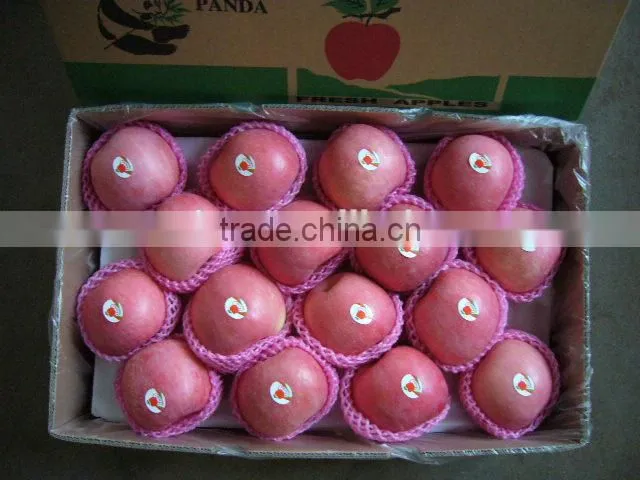 Fresh Fruit Fuji Apple