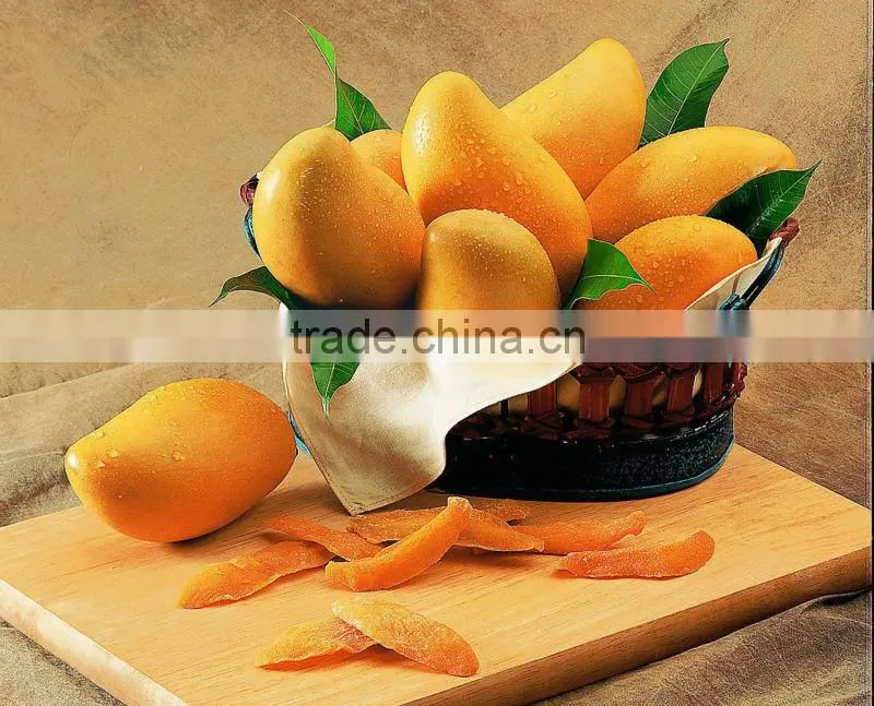 Mango Leaf Extract