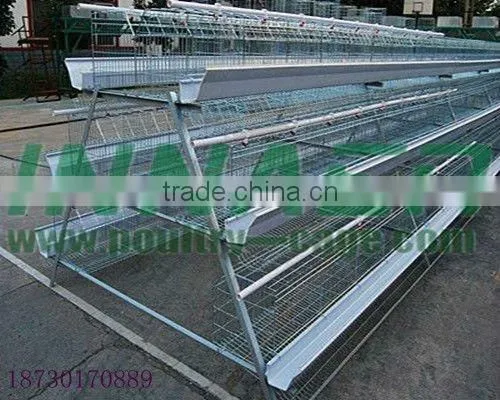 Supply Hot Sale Cheap Innaer Cock Cage for Broiler