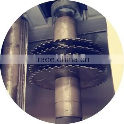Brand protection multi blade saw machine made in China